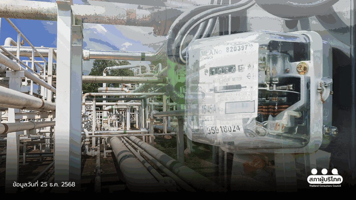 ค้านมติ กพช. ผลักภาระให้ผู้ใช้ไฟ จี้ อนุทิน สั่งยกเลิก ก่อนมีผล 1 ม.ค.